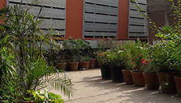 Hotel Mewar - Garden View